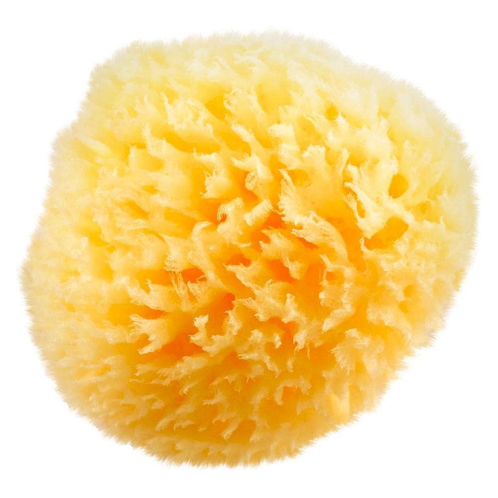 summer infant comfy bath sponge Baby Buddy Natural Bath Sponge, Sea Wool