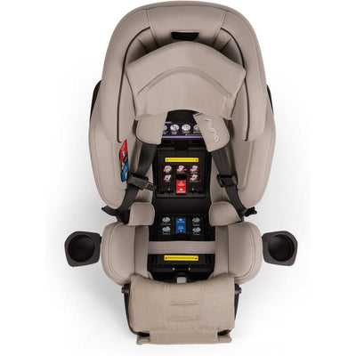 Nuna Car Seats - Convertible Nuna Exec All-in-One Car Seat