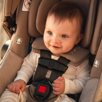 Nuna Strollers - Travel Systems Nuna TRVL LX Stroller + PIPA Urbn Travel System