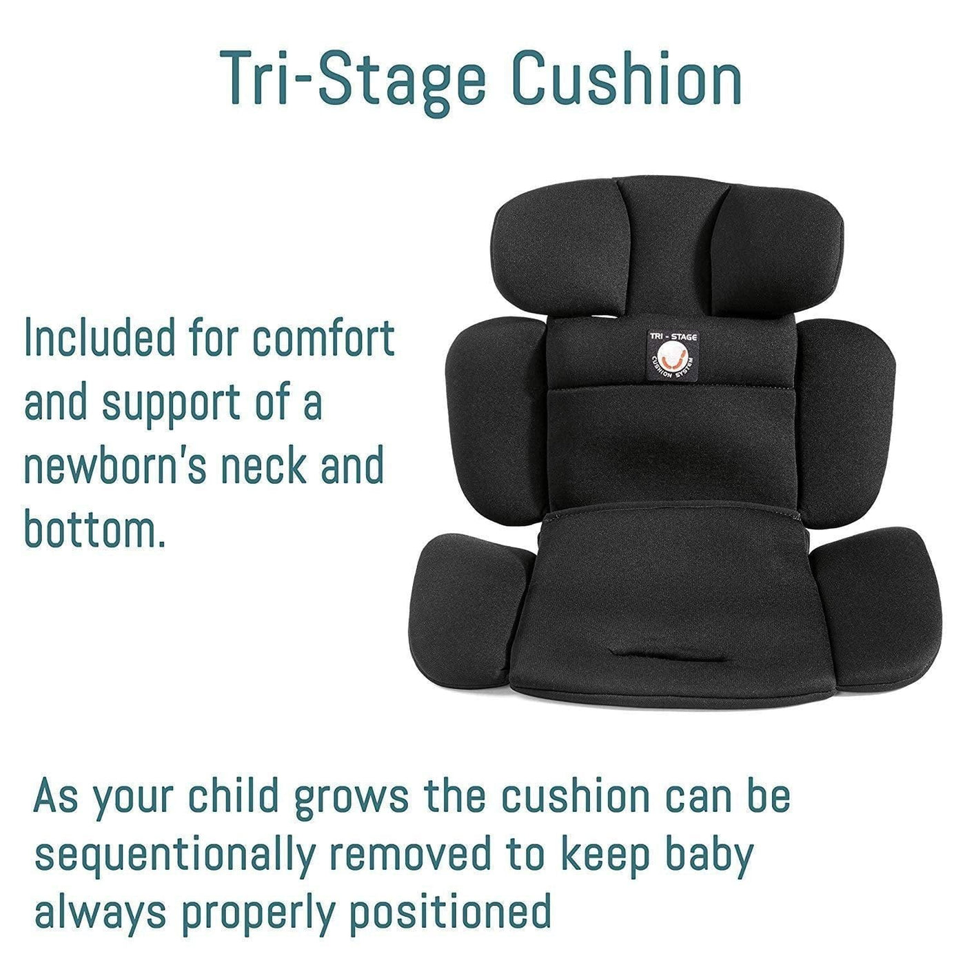 PEG Car Seats - Convertible PEG Primo Viaggio Convertible Kinetic Car Seat