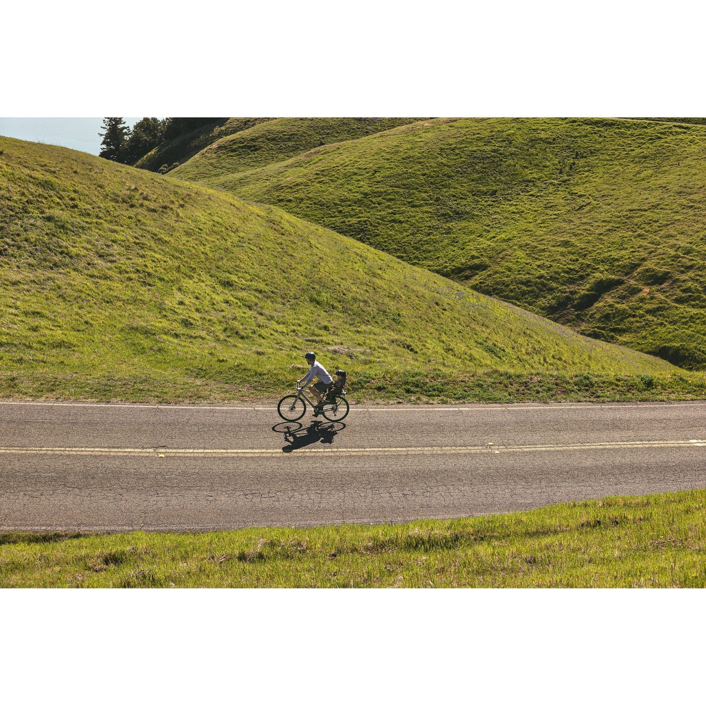 Veer Stroller Accessories Veer &Bike Mount for Switchback Seat