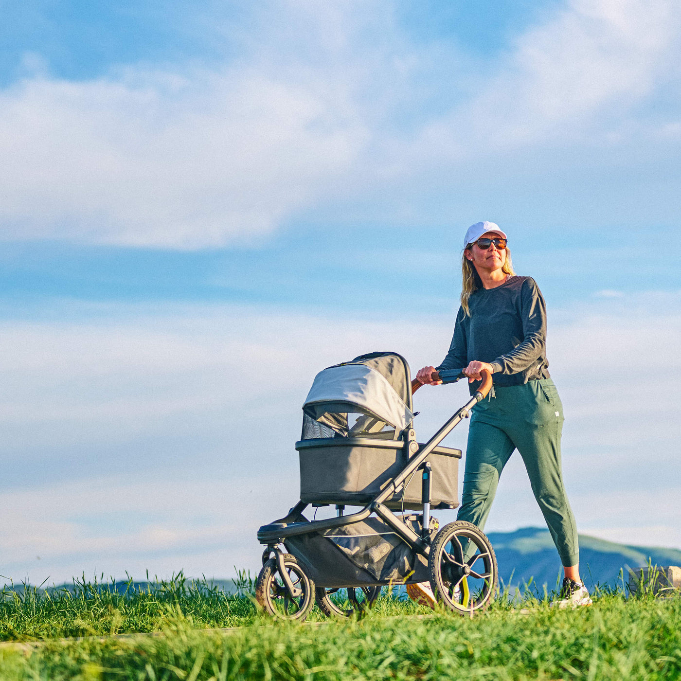 Veer Stroller Accessories Veer Switchback Bassinet