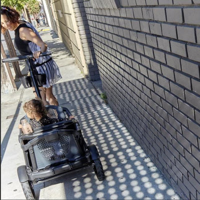 Veer Strollers - Wagons 2-Seater Veer Cruiser All-Terrain Wagon