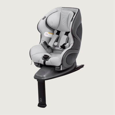 Babyark Convertible Car Seat