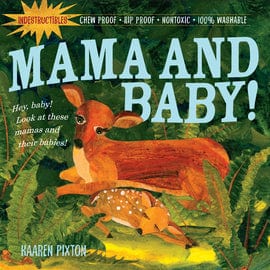 Indestructibles Books Mama and Baby Indestructable Book